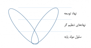 نهاد اجتماعی بانوان