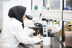 کاربری پژوهش و تحقیق و توسعه در زیست شهر