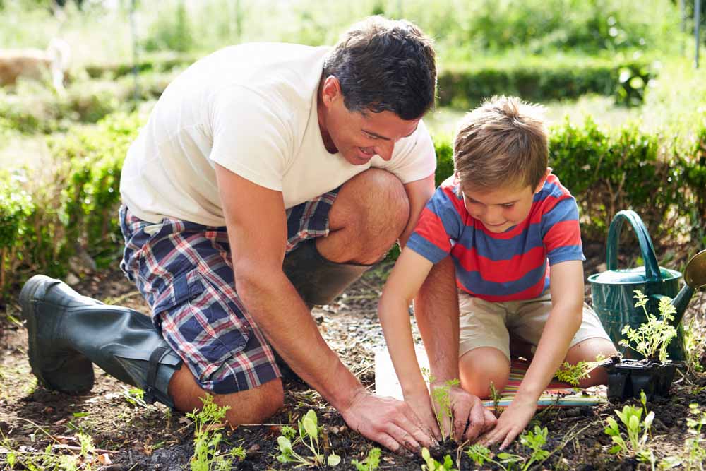 ایجاد ارتباط صمیمی با پدر در کشاورزی خانگی